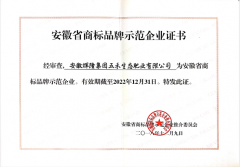 安徽省商标品牌示范企业