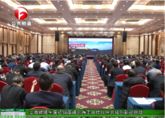 安徽辉隆年度经销商峰会携手合作伙伴开拓创新迎挑战！