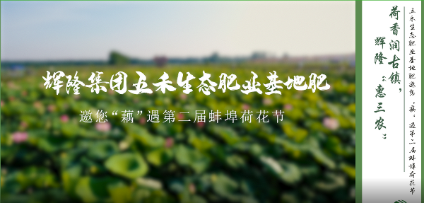 荷香润古镇，辉隆“惠三农”