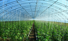 生物有机无机生态肥料